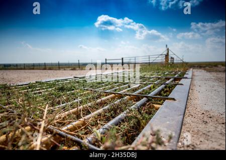 Bétail en métal traversant la porte du sol avec des mauvaises herbes qui poussent entre Banque D'Images