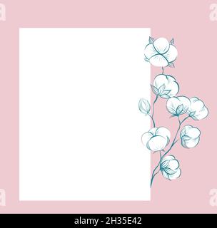 Carte délicate carrée avec croquis de coton et tiges, espace de copie sur fond rose.Modèle à base de plantes vectorielles douces avec tiges, molletonné Illustration de Vecteur