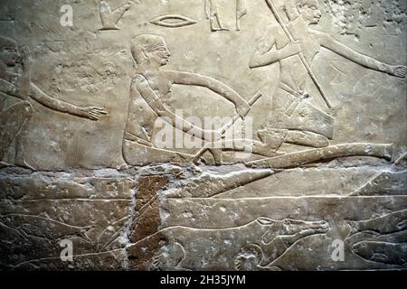 Soulagement de la pêche à l'intérieur de la tombe de la princesse Idut.Vieux Royaume, 6e dynastie, Saqqara, sud du Caire, Égypte Banque D'Images