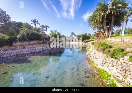 Réserve naturelle GAN Hashlosha - une immense piscine d'eau d'un ruisseau naturel qui coule dans la réserve, Israël Banque D'Images