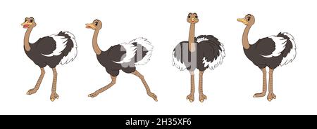 Longues pattes mignons autruches, ensemble de figures, debout, courir et hurler.Illustration vectorielle de dessins au format dessin animé Illustration de Vecteur