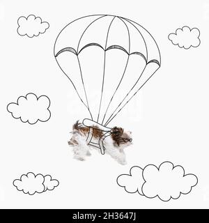 Œuvres d'art contemporaines.Un joli parachute de chien drôle isolé sur fond blanc de studio avec des dessins. Banque D'Images
