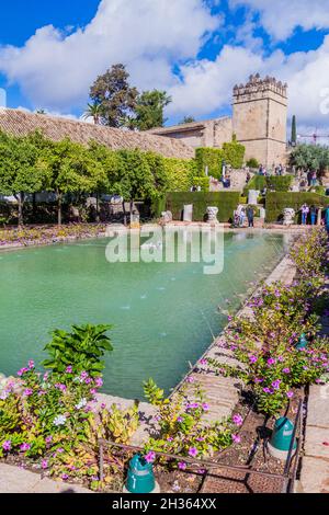 CORDOBA, ESPAGNE - 5 NOVEMBRE 2017: Les gens visitent Alcazar de los Reyes Cristianos à Cordoue, Espagne Banque D'Images