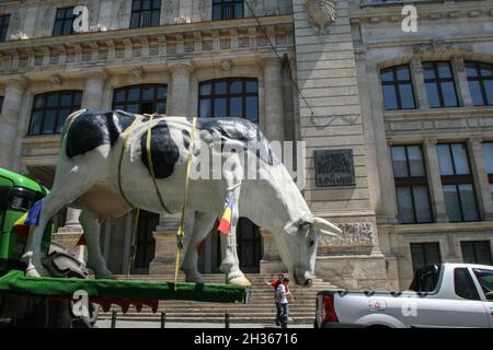 Bucarest, Roumanie, 10 juin 2009 : les agriculteurs roumains manifestent dans le centre de Bucarest, protestant contre les mesures gouvernementales concernant les su Banque D'Images