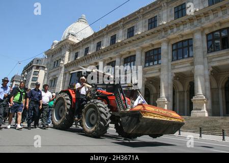 Bucarest, Roumanie, 10 juin 2009 : les agriculteurs roumains manifestent dans le centre de Bucarest, protestant contre les mesures gouvernementales concernant les su Banque D'Images