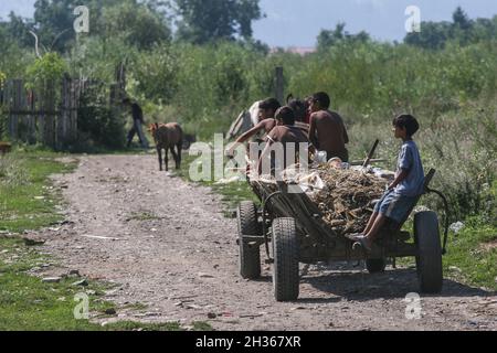 Tarlungeni, Brasov, Roumanie, 22 août 2009 : une famille gitane est vu dans un panier dans la rue. Banque D'Images