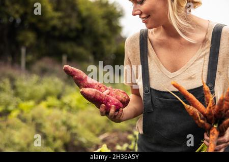 Maraîcher joyeux tenant des patates douces fraîchement cueillies et des carottes sur sa ferme.Une jeune femme qui se sourit volontiers après la récolte Banque D'Images