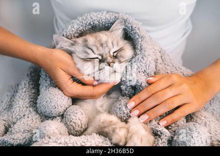 Une femme qui pète un chat mignon dans une couverture douce et chaude.Doux chat napping dans les bras de femme.Les gens et l'amour humain.Photo de haute qualité Banque D'Images