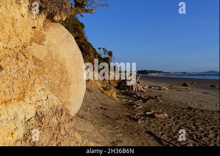 Les blocs ronds de Moeraki sont formés par le processus géologique appelé concrétion de calcite Banque D'Images