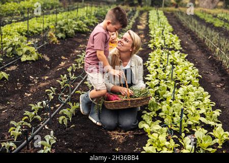 Mère souriant à son fils tout en moissonnant sur une ferme biologique.Bonne jeune mère de deux enfants qui récoltent des produits frais avec ses enfants.Famille autodurable Banque D'Images