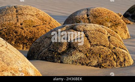 Détails de surface sur Moeraki Boulders sur la plage de l'île du Sud de la Nouvelle-Zélande Banque D'Images