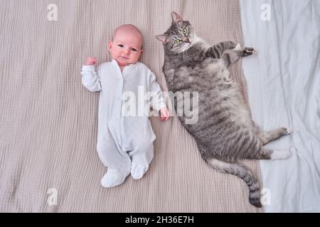 Un petit garçon est allongé sur le canapé à côté d'un grand chat. Un nouveau-né près d'un animal de compagnie sur le lit Banque D'Images