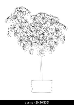 Contour des fleurs dans un pot de lignes noires isolées sur fond blanc.Illustration vectorielle Illustration de Vecteur