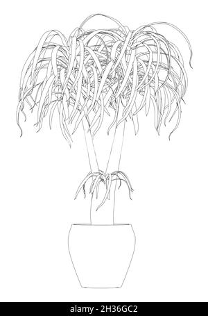 Contour des fleurs dans un pot de lignes noires isolées sur fond blanc.Illustration vectorielle Illustration de Vecteur