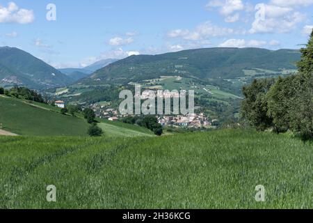Campagne, vue de Belforte del Chienti, Paysage, Marche, Italie, Europe Banque D'Images