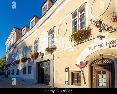 Wien, Vienne: Hameau Grinzing, taverne Buschenschek Heuriger Trummelhof en 19.Döbling, Vienne, Autriche Banque D'Images