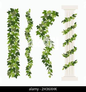 Les vignes d'Ivy, et une ancienne colonne grecque enchâinée avec de l'ivy, des éléments isolés sur fond blanc.Illustration vectorielle de style dessin animé plat Illustration de Vecteur