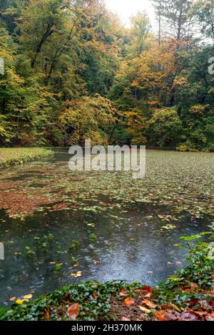 Vallée de Szalajka Szilvasvarad Hongrie un jour pluvieux d'automne avec des gouttes de pluie sur un lac Banque D'Images