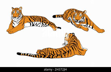 Jeu de tigres de couleur dessin chinois simple tigre illustration vectorielle isolée sur fond blanc Illustration de Vecteur