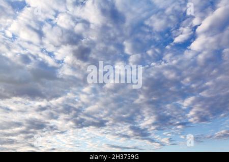 Nuages de Cirrocumulus avec de petits feuilletés arrondis .Paysage de nuages le matin Banque D'Images