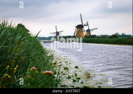 Moulins à vent historiques et rivière qui coule à Kinderdijk, pays-Bas Banque D'Images