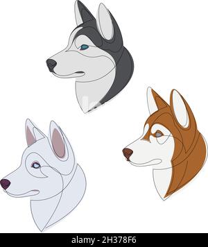 Poses Husky sibérien, ensemble de couleurs de pelage.Illustration vectorielle Illustration de Vecteur