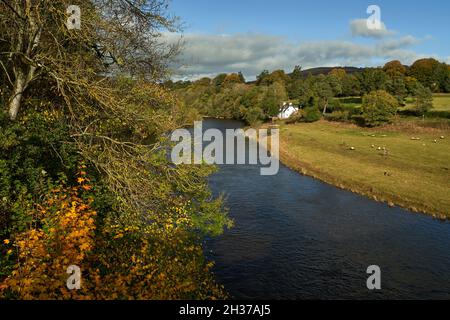 Ghilie's (un guide de pêcheur) cottage sur la rivière Tweed à Lowood près de Melrose dans les frontières écossaises. Banque D'Images