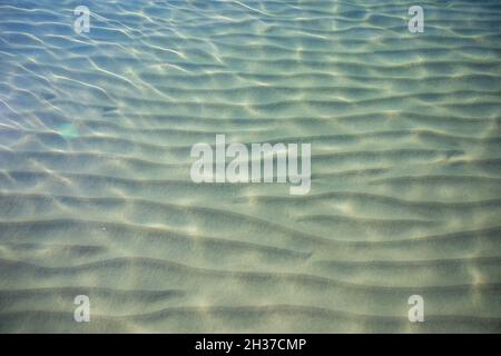 Ondulations sur la surface du fond de mer de sable, eau de mer bleue claire et calme, poissons dans l'eau, texture de la nature Banque D'Images