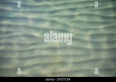 Ondulations sur la surface du fond de mer de sable, eau de mer bleue claire et calme, poissons dans l'eau, texture de la nature Banque D'Images