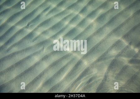 Ondulations sur la surface du fond de mer de sable, eau de mer bleue claire et calme, poissons dans l'eau, texture de la nature Banque D'Images