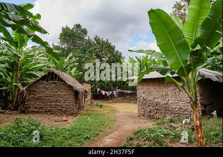 Huttes d'argile et laundery pendant la promenade du village à MTO wa Mbu, Tanzanie, Afrique Banque D'Images