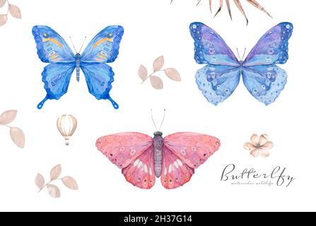Décor naturel coloré à l'aquarelle avec papillon.Papillons bleus et roses illustration isolée sur fond blanc Banque D'Images