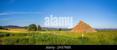 pile de balles de paille sur le champ d'herbe, paysage avec prairie, forêt et collines Banque D'Images