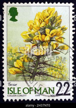 ÎLE DE MAN - VERS 1999 : un timbre imprimé dans l'île de Man montre Gorse, ulex europaeus, est une plante à fleurs, vers 1999 Banque D'Images