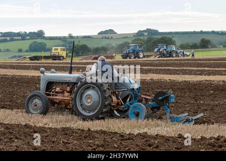 Tracteur Ferguson 35 d'époque, utilisé lors du match de labour de la Grande-Angleterre qui s'est tenu à Droxford, Hampshire, Angleterre, Royaume-Uni, octobre 2021 Banque D'Images