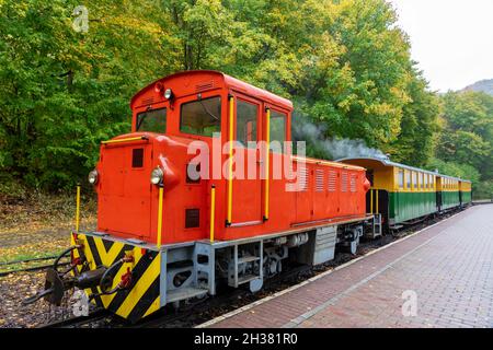 Petit train à voie étroite dans la vallée de Szalajka szilvasvarad Hongrie Banque D'Images