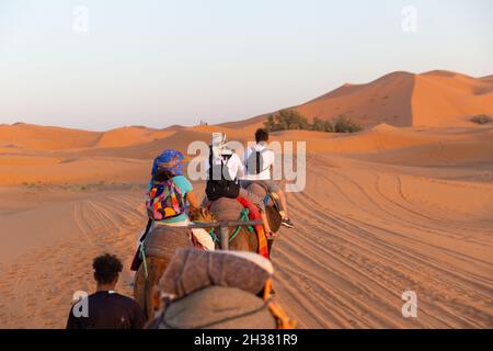 Un groupe de touristes visite le désert du Sahara dans une caravane de chameaux Banque D'Images