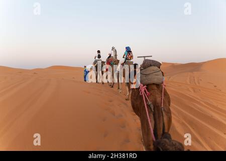 Un groupe de touristes visite le désert du Sahara dans une caravane de chameaux Banque D'Images