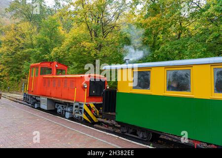 Petit train à voie étroite dans la vallée de Szalajka szilvasvarad Hongrie Banque D'Images