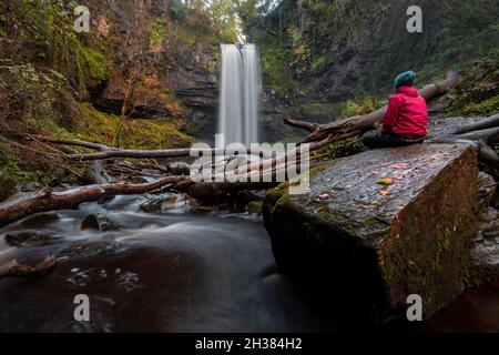 Editorial Coelbren, Royaume-Uni - 25 octobre 2021 : chutes Henrhyd sur la rivière Nant Llech près de Coelbren, avec une chute de 90 pieds c'est la plus haute cascade de S Banque D'Images