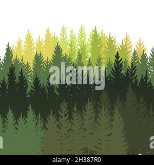 Arrière-plan de la forêt.Panorama de silhouette.Paysage avec arbres.Conifères.Belle vue.Isolé.Scène d'été.Vecteur d'illustration Illustration de Vecteur