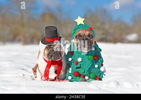 Chiens en costumes de Noël.Deux Bulldogs français s'habille comme un arbre de Noël drôle et un bonhomme de neige dans la neige. Banque D'Images