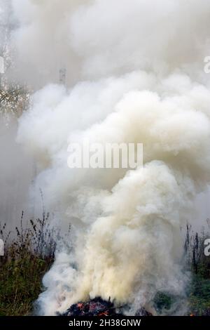 Branches d'épinette brûlantes, fumée épaisse qui s'élève dans le ciel. Banque D'Images