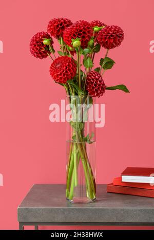 Vase avec de belles dahlias et des cahiers sur la table contre fond de couleur Banque D'Images