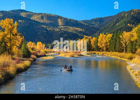 rafles et couleurs d'automne le long de la rivière clark fork dans le parc régional beavertail hill près de clinton, montana Banque D'Images