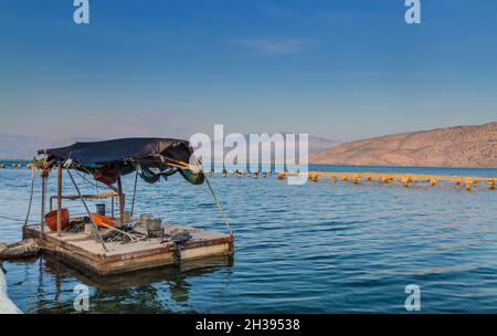 Bateau ou radeau primitif sur une ferme de moules à Saranda, en Albanie.Fruits de mer frais et écologiques. Banque D'Images