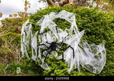 Halloween décorations araignées toile et araignée géante décorer un arbre à Sydney pour les célébrations d'halloween, Australie Banque D'Images