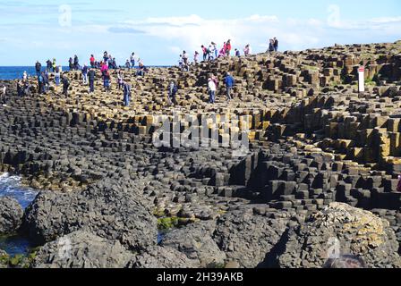 Les visiteurs grimpent sur les formations rocheuses volcaniques naturelles de la chaussée des géants, située au bord de la mer sur la côte nord de l’Irlande du Nord. Banque D'Images