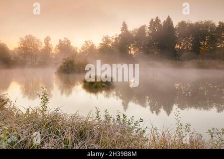 Ambiance matinale automnale à un étang dans la réserve naturelle Wildert à Illnau, le givre couvre la végétation au premier plan ainsi que sur les îles et Banque D'Images