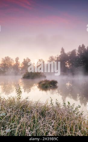 Ambiance matinale automnale à un étang dans la réserve naturelle Wildert à Illnau, le givre couvre la végétation au premier plan ainsi que sur les îles et Banque D'Images